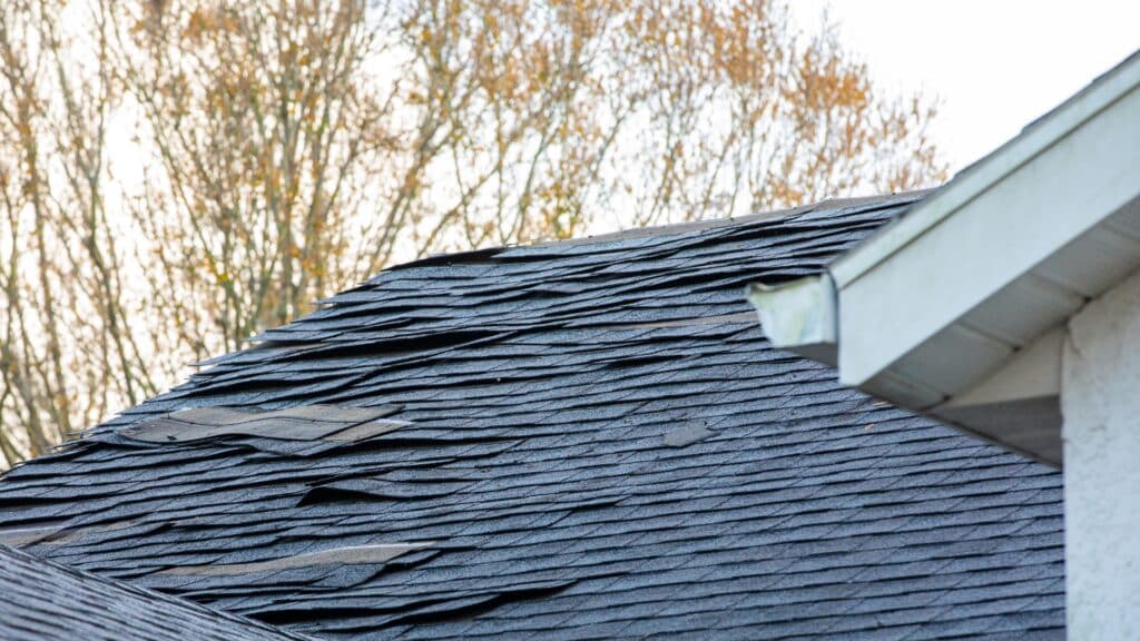 roofing shingle repair Pembroke
